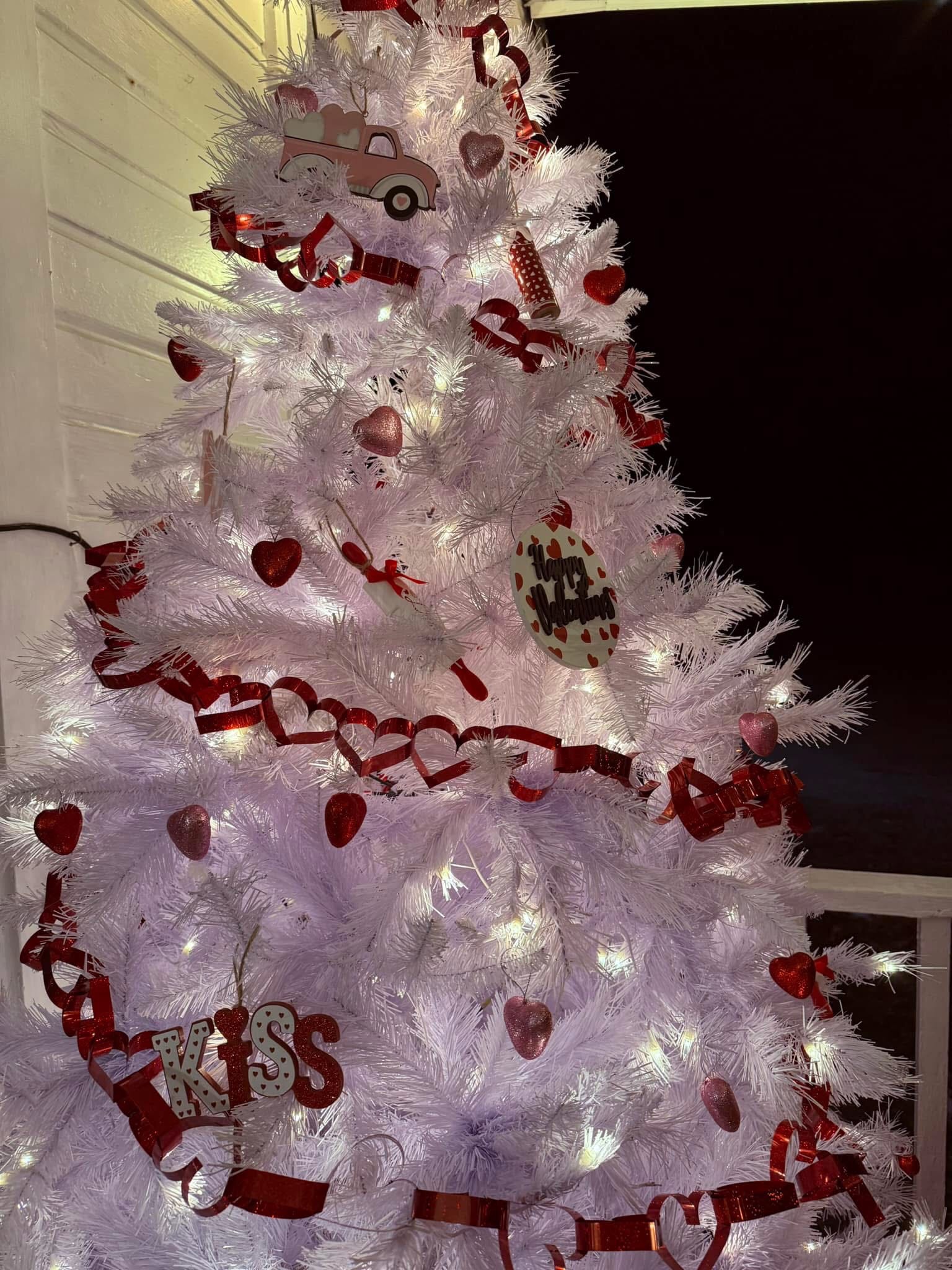 VALENTINES DINNER- Fancy in the Fe DATE NIGHT