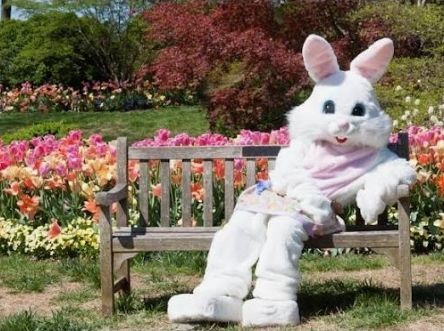 Easter Bunny pictures at Baxter’s Mercantile