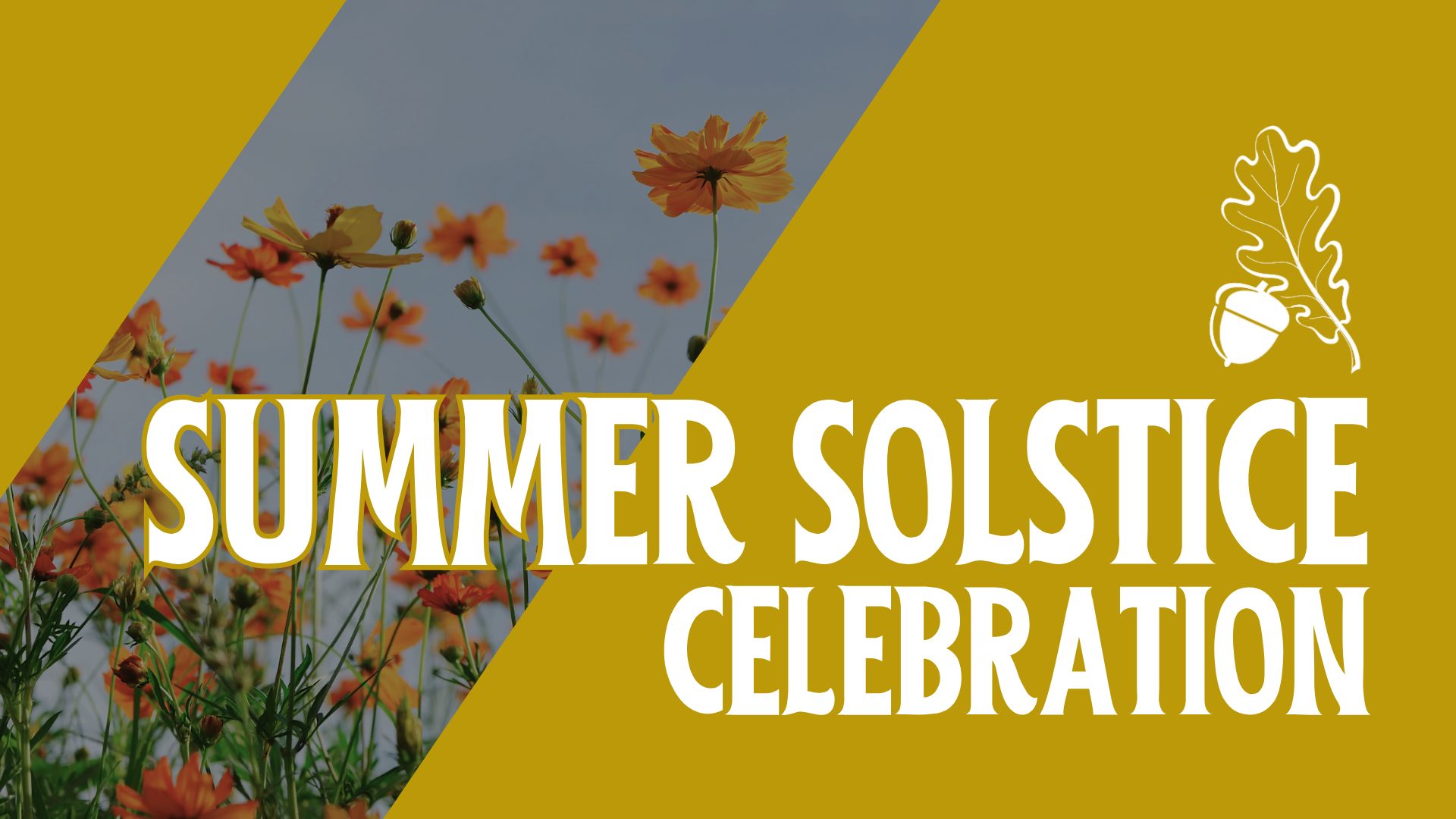 Summer Solstice Celebration