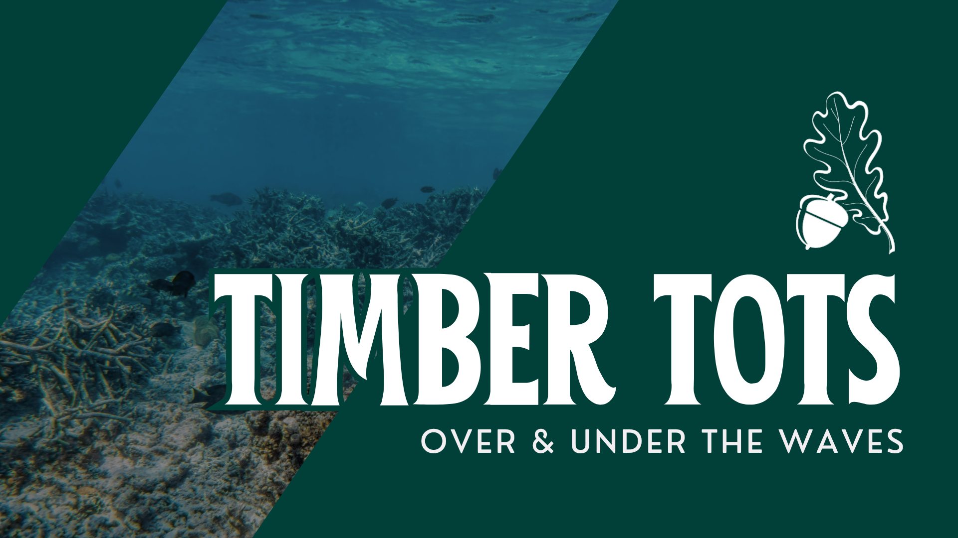 Timber Tots: Over & Under the Waves
