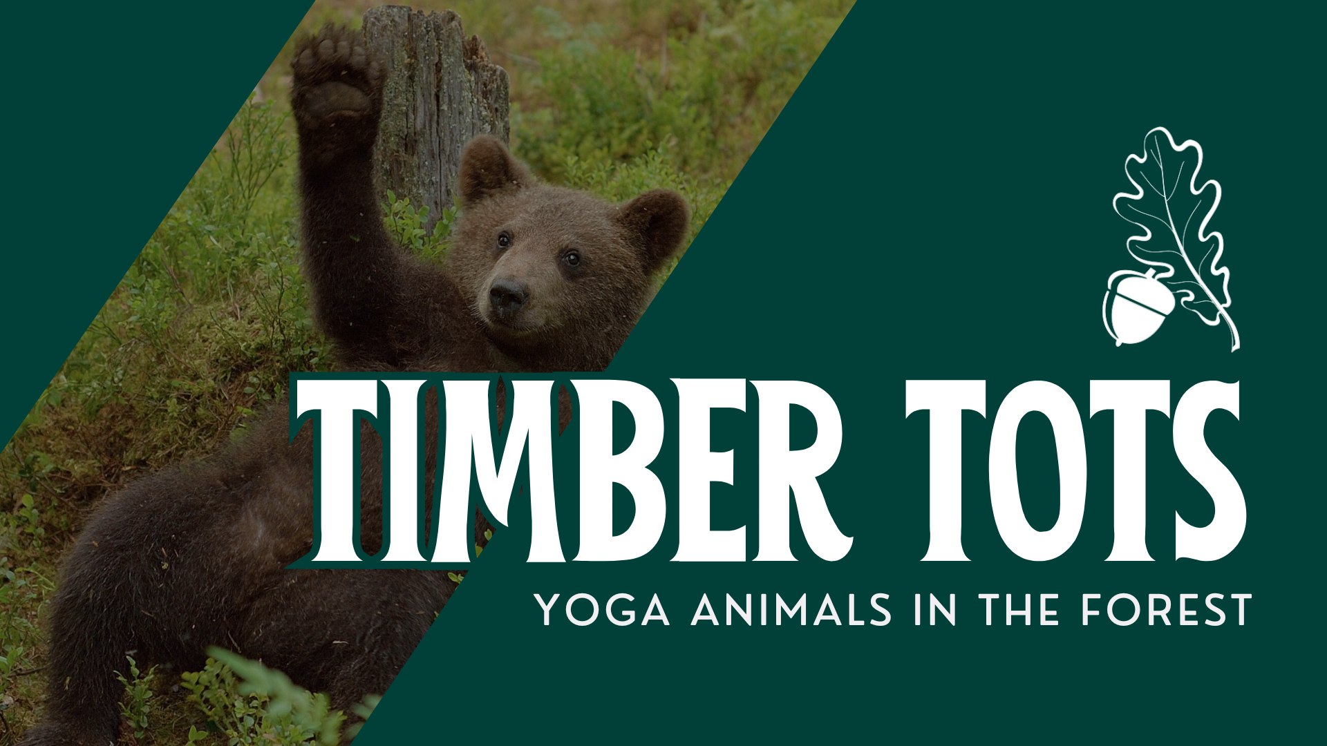 Timber Tots: Yoga Animals in the Forest