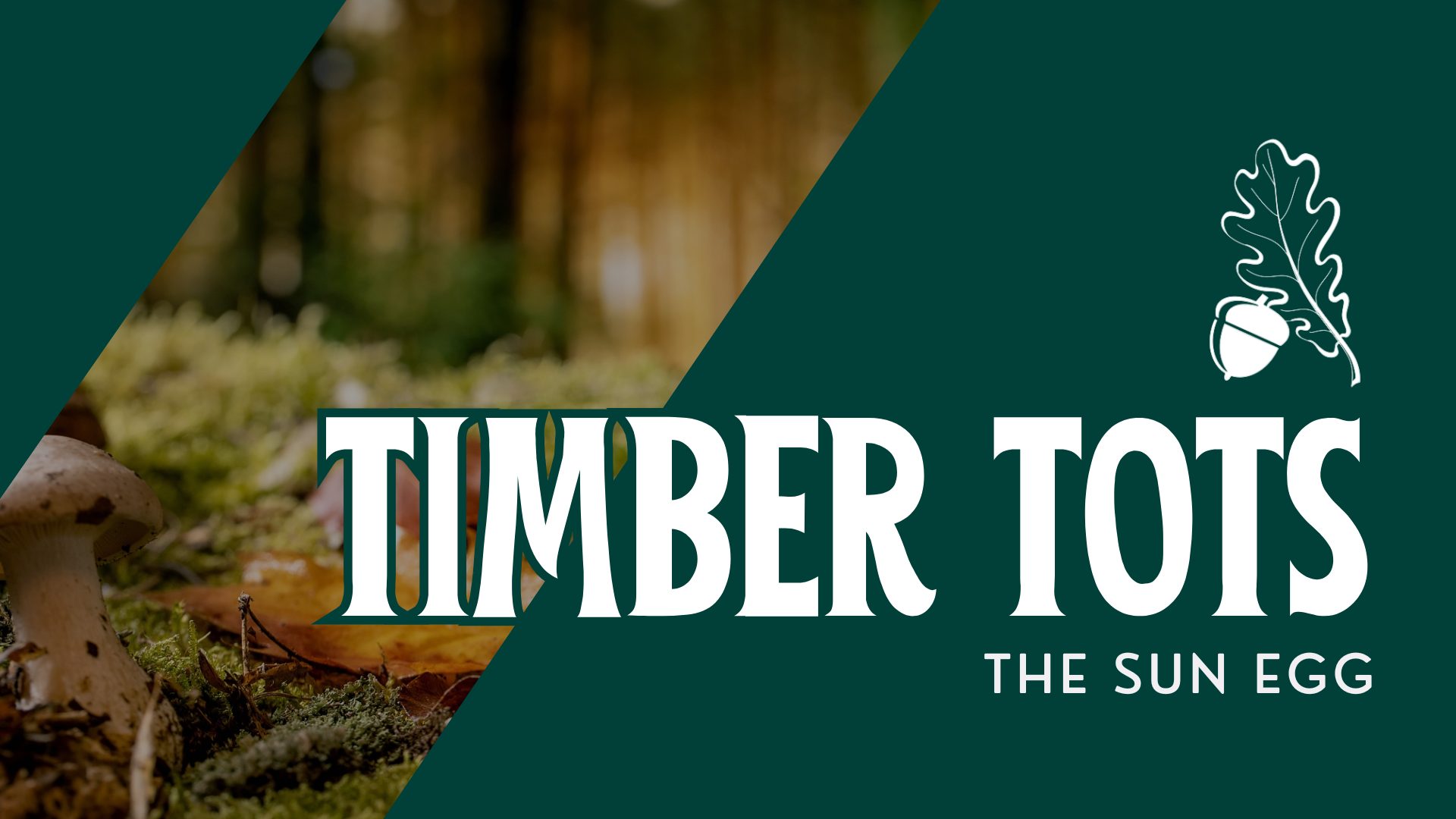 Timber Tots: The Sun Egg