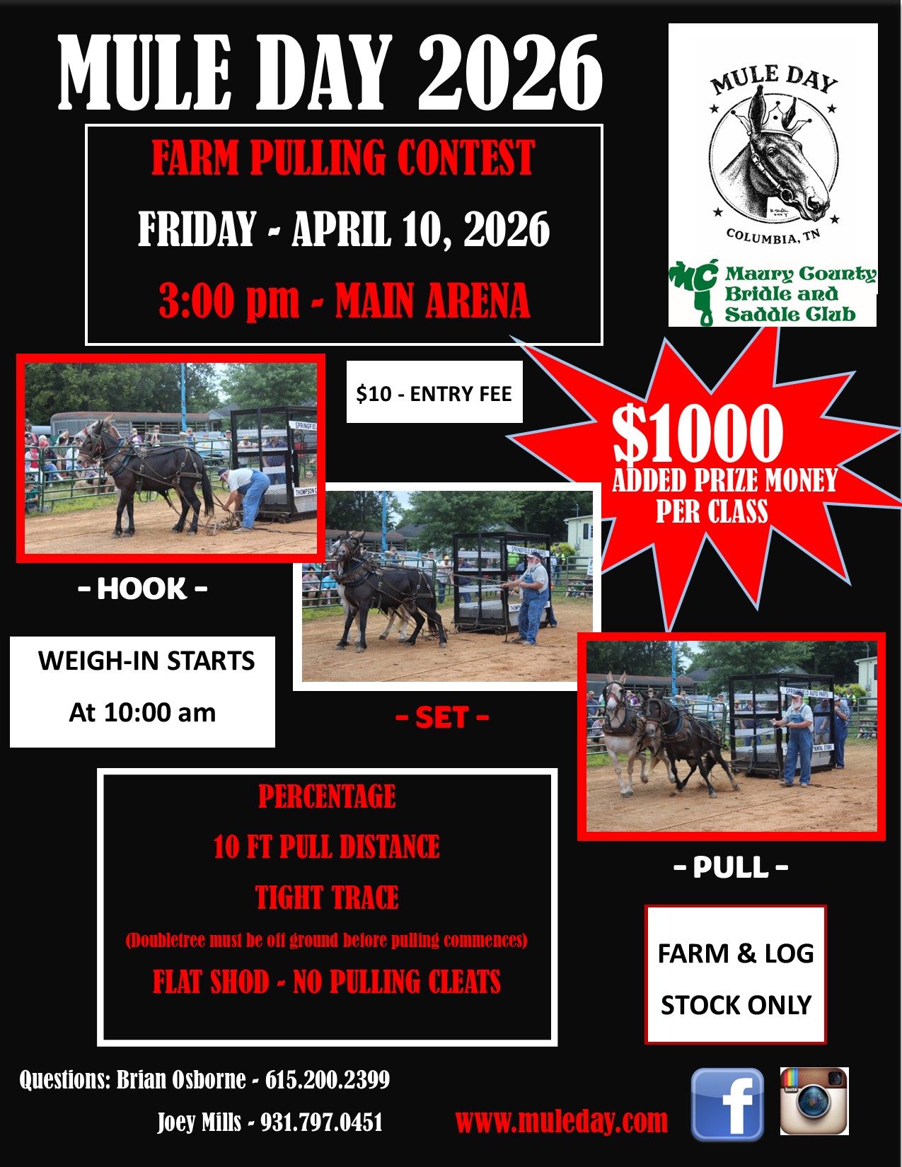 Farm Class Mule Pulling Contest