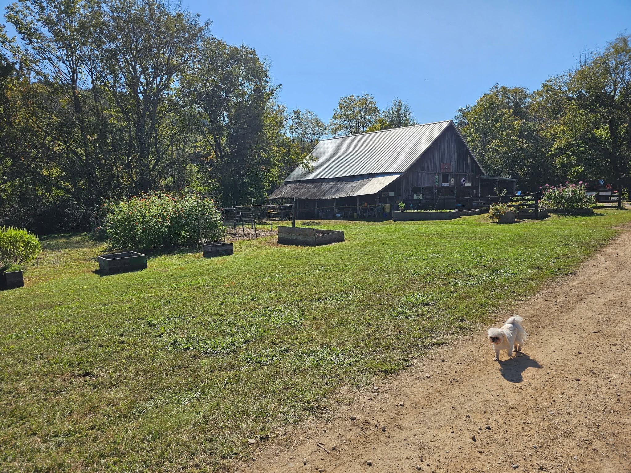 4th Annual Fall Festival at Highland Realm Farm