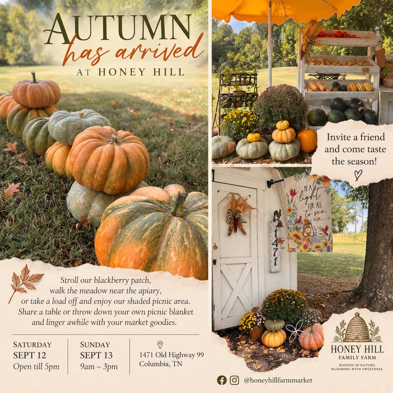 Autumn on the Hill